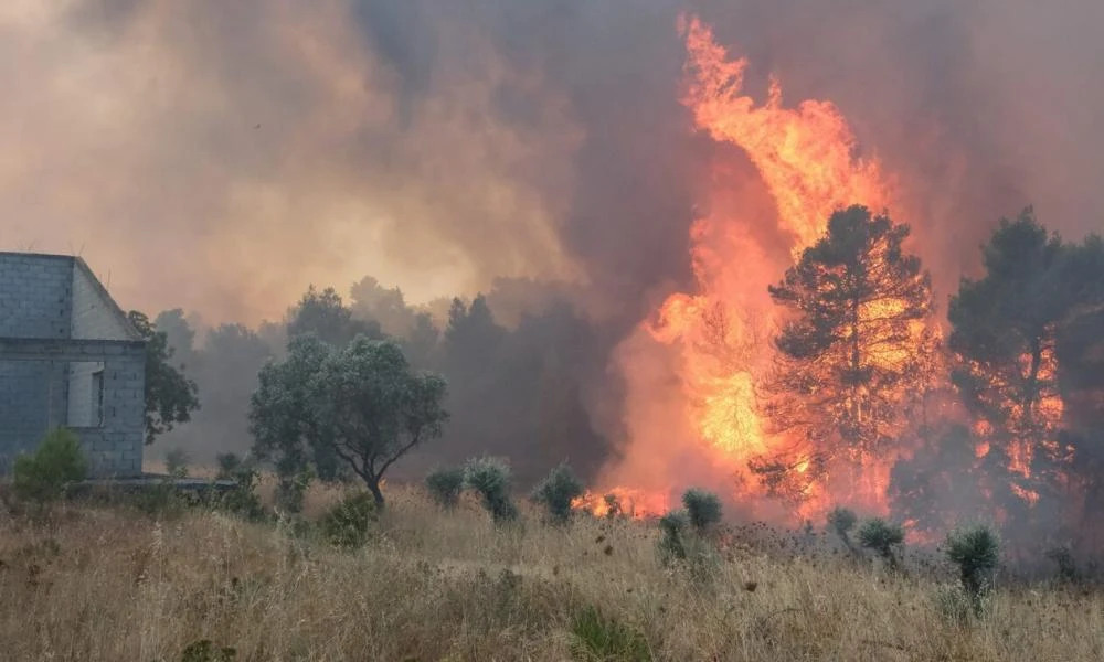 Φωτιά στην Κορινθία στην περιοχή Μπολάτι